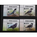 2024 Вороновые** Полная серия, угол