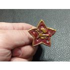 Кокарда Красноармейская 1918г. ( В реставрации)