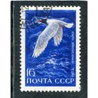 СССР 1972.. Водоплавающие птицы. Черноголовая чайка