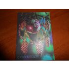 Открытка  С Новым Годом СССР 1990г, чистая, переходная на почта Беларусь.