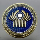 РЕДКАЯ ТЯЖЕЛАЯ Медаль СНГ.Исполком СНГ.Диаметр 100мм.
