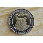 Чечня 25 рублей 2013