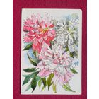 Поздравляю! Лушникова 1980 г. Двойная. Кр1.