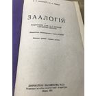 Зоология.1951г.