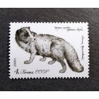 Марка СССР 1980 год Пушные звери