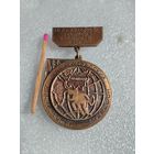 Знак. Международный Чемпионат любителей бега. Калининградский космический марафон. тяжелый