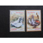 Беларусь 2009 г. Домашняя птица. Полная серия.