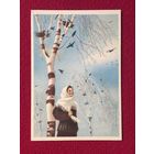 Весна. Караченцов 1955 г. Чистая.