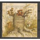 ФФ3 Украина 1999 Грибы