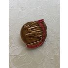 Знак Отличник физической культуры и спорта. ( Редкий 11 тип - пробный , без верхней надписи .) С рубля.