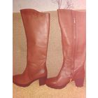 Сапоги демисезонные