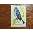 Спичечная этикетка Малая Мухоловка