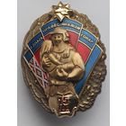 Знак МЧС 15 лет, вид 1, пожарный