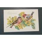 Открытка "Поздравляю!" худ. Л. Манилова 1975г. чистая