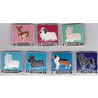 Собаки: тибетский терьер; той терьер; шотландский терьер; японский хин; колли и пудель.