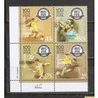 ФФ2 Украина 2004 Футбол