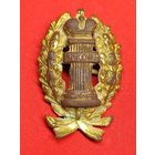 Кокарда, петличный знак "ЗАКОН", Царская Россия. С рубля, без м.ц. См. др. мои лоты