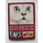 Кошки. 1989 год. 16 из 18 открыток