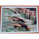 3-я Спартакиада народов СССР. Старт заплыва. 1964 г. Чистая