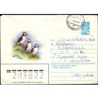 1980 год ХМК А.Исаков Тупики 80-660