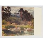 1957. Сагритс. Перед дождём