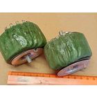 Трансформатор ТВВТ-8 (выходной высокочастотный).