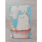 Календарик 1992