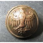 Пуговица Польша полиция типа Галлера