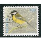 Швейцария. Фауна. Большая синица