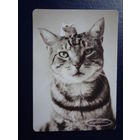 Календарик 2003 г.  Издательство "Открытое письмо".