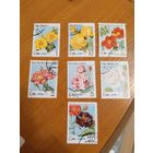 1979 Куба флора цветы розы (4-2)