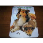 Не забывай друзей Собаки Колли 2001 год Двойная подписана