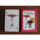 Игральные карты "Грибы"