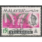 Малайские штаты(Селангор). Цветы. Орхидея Ранхостилис. 1965г. Mi#103.