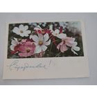 Почтовая карточка "С праздником!", художник И.Дергилев, фото П.Смоляков,  1966г.