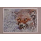 Исаков А., Лис, 1989, чистая.