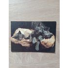 Календарик 1992