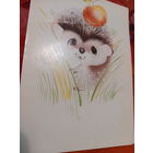 Бугаева ежик