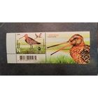 Фауна Птицы Беларуси. Большой веретенник Беларусь 2025 ** купон