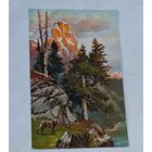 До 1917 года  открытка