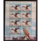 Марки Беларуси 2010 года чистый лист Птица года, Обыкновенная Пустельга, фауна,  КМ 824 каталог3 евро