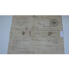 1916 г. Паспорт