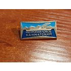 Знак значок Петропавловск Камчатский