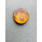 ЗНАЧОК НЕЗНАЙКА