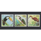 Фауна Птицы Куба 1989  Филателистическая выставка Brasiliana-89 в Рио-де-Жанейро Used