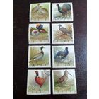 Польша 1970 птицы