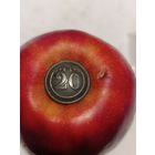 Пуговица Франция(Крымская компания)