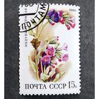 Марка СССР 1988 год Лесные цветы