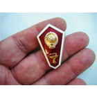 Медицинский Техникум.  ЛМД