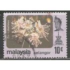 Малайские штаты(Селангор). Цветы. Дурман цибетиновый. 1979г. Mi#115.